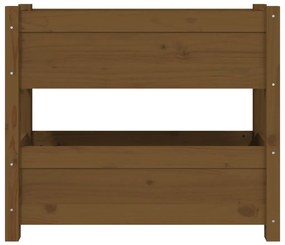 Mézbarna tömör fenyőfa növénytartó 77x25x66 cm