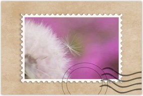 Poszterek 120x80 Pitypang Virág Virágok