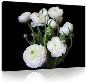 Vászonkép, Fehér rózsák 80x60 cm méretben