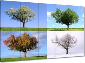 Vászonkép 100x70 Négy évszak Fa