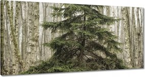 Festmények 180x90 Fa Fák Kilátás