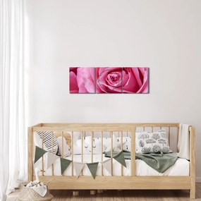 Rózsa képe (órával) (90x30 cm)