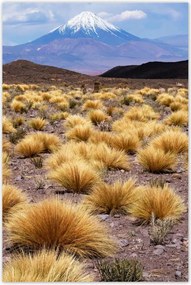 Poszterek 80x120 Tájképek Kilátások Tájképek