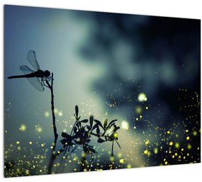 Kép - szitakötő a csillogó éjszakában (üvegen) (70x50 cm)