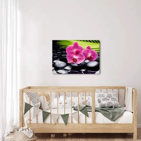 Kép - Rózsaszín orchidea pálmalevéllel (70x50 cm)