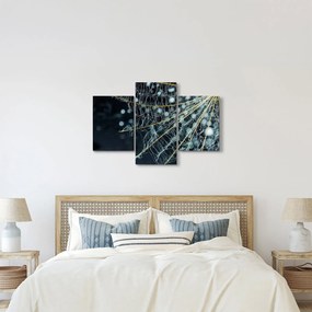 Kép - Virág pókhálóval (90x60 cm)