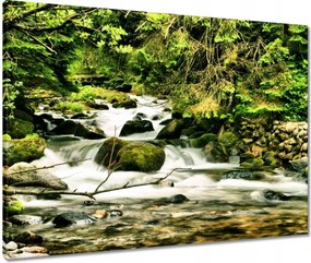 Vászonkép 80x60 Folyó a Tátrában