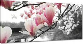 Vászonkép 180x90 Magnólia Virágok