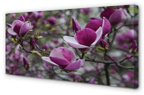 Canvas képek lila magnólia 125x50 cm