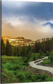 Vászonkép Ösvény a hegyek között Erdő Fák Nap 50x80 cm
