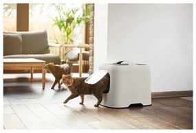 Fehér macskatoalett és lapát szett Biala – Rotho