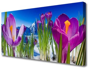 Vászonkép Virág növény természet 100x50 cm