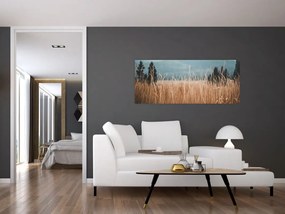 Kép - réti növényzet részlete (120x50 cm)