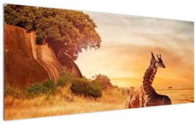 Kép - Zsiráfok Afrikában (120x50 cm)