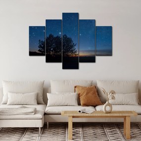 A fák éjjel képe (150x105 cm)