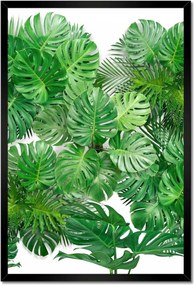 Poszter keretben 40x60 Monstera lyukas levelek