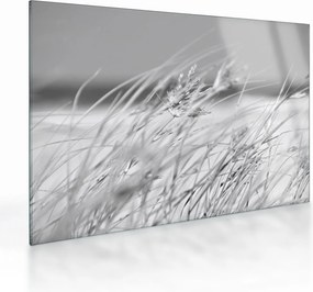 Üveg kép - Strandfű (70x50 cm)