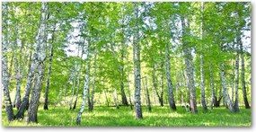 Üvegpanel konyhába Nyírfa 120x60 cm Ragasztó