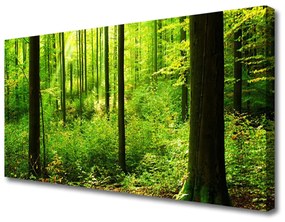 Vászonfotó Green Forest Fák Természet 100x50 cm
