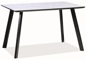 Samuel étkezőasztal 120 x 80 cm, fehér / fekete