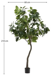 Fikusz műnövény (magasság 210 cm) Ficus – Kave Home