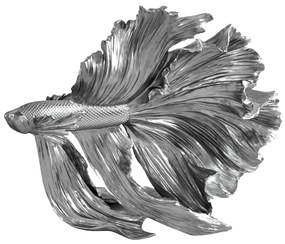 CROWNTAIL ezüst 3d hal dekoráció 35cm