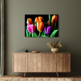 Tulipánok képe fekete alapon (90x60 cm)