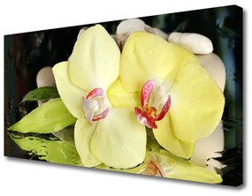 Vászonkép nyomtatás Orchidea virág szirmai 100x50 cm