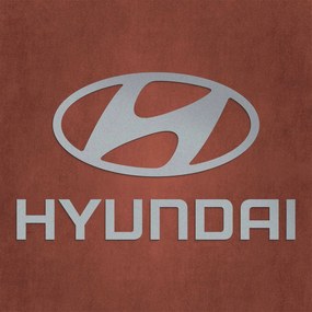 Fa autó logo a falra - Hyundai