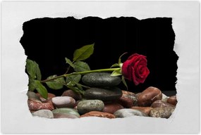 Poszterek 60x40 Spa Wellness Relaxáció Víz