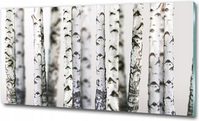 Fotó kép fotó edzett üveg Fű 100x70