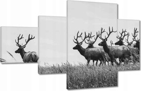 Vászonkép 130x80 Szarvascsorda Felszarvazott