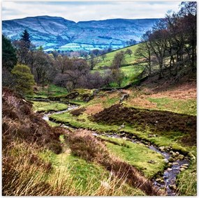 Poszterek 100x100 Patak a hegyekben