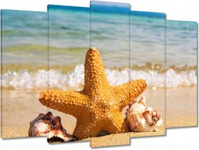 Vászonkép 70x50 Tengeri csillag és kagylók