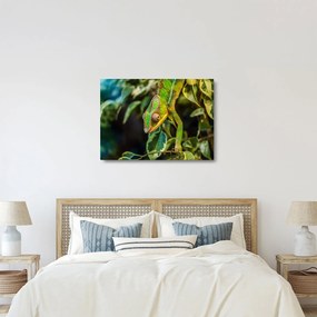 Kaméleon képe (70x50 cm)