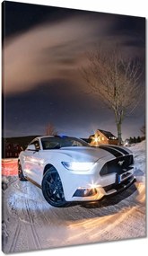 Vászonkép 60x90 Fehér Ford Mustang télen