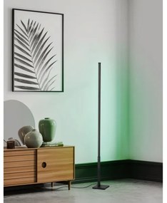 Eglo 75654 - LED RGB Dimmelhető állólámpa LED/13,5W/230V 2700-6500K + távirányító