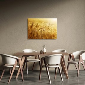 Kép - Gabonafül (üvegen) (70x50 cm)