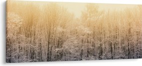 Fagyos erdő képe (120x50 cm)