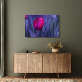 Tulipán bimbó képe (90x60 cm)
