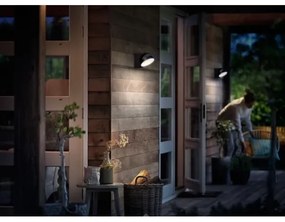 Philips - LED Kültéri fali lámpa MIMOSA LED/7W/230V 2700K IP44