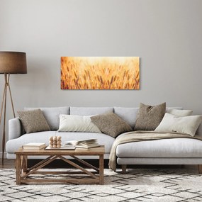 Kép - mező gabonával (120x50 cm)