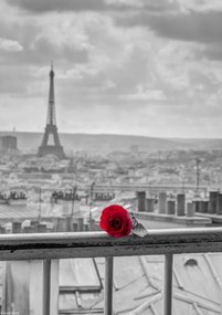 Poszter 21x29,7cm Rózsa az erkély korlátján, Eiffel-toronnyal a háttérben, Assaf Frank