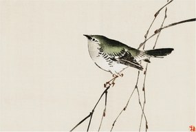 Flizelin tapéta Flizelin falikép Prémium Harmonikus madár 104x70