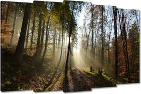 Képek 150x95 Napfelkelte az erdőben