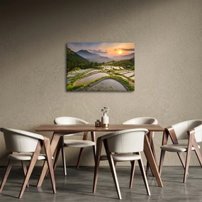 Kép - Rizsteraszok (70x50 cm)