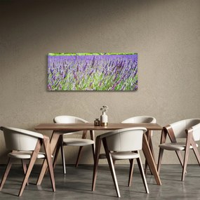 Egy mező képe a levendulával (120x50 cm)