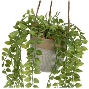 Műnövény (magasság 34 cm) – Casa Selección