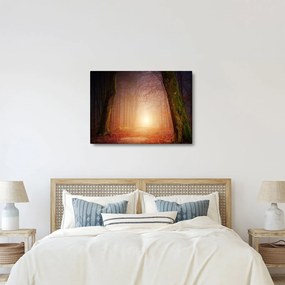 Őszi erdő képe a ködben (70x50 cm)