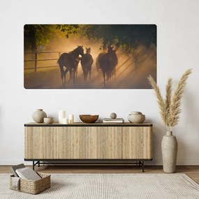 PIPPER. Öntapadós textiltapéta "Lovak 2"